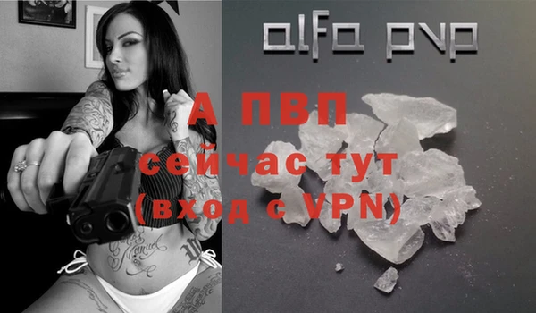 молекула духа Осинники
