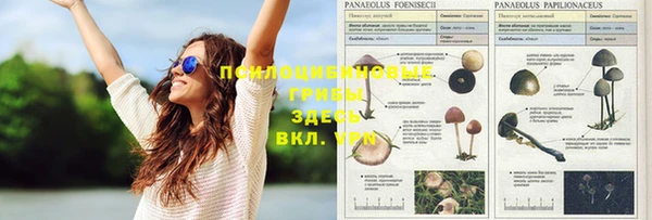 молекула духа Осинники