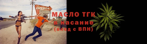 молекула духа Осинники