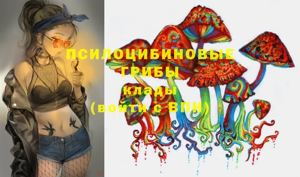 mdma Осташков