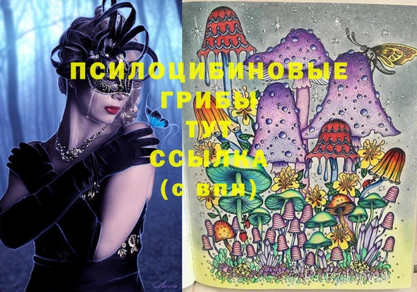 молекула духа Осинники