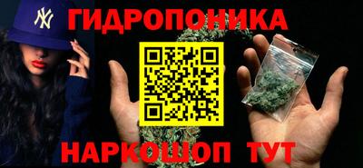 spice Заволжье