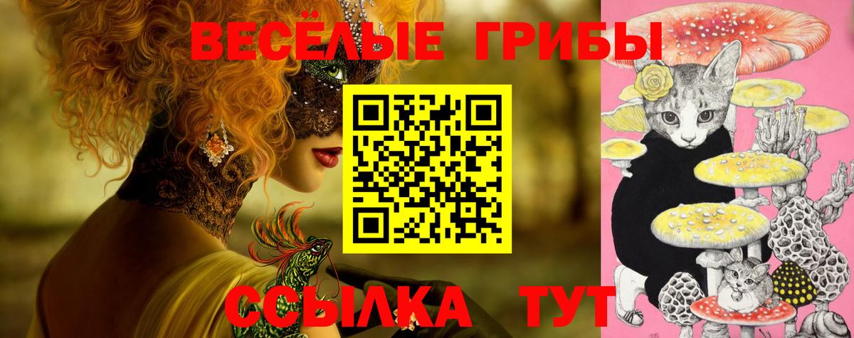 Галлюциногенные грибы MAGIC MUSHROOMS Кумертау