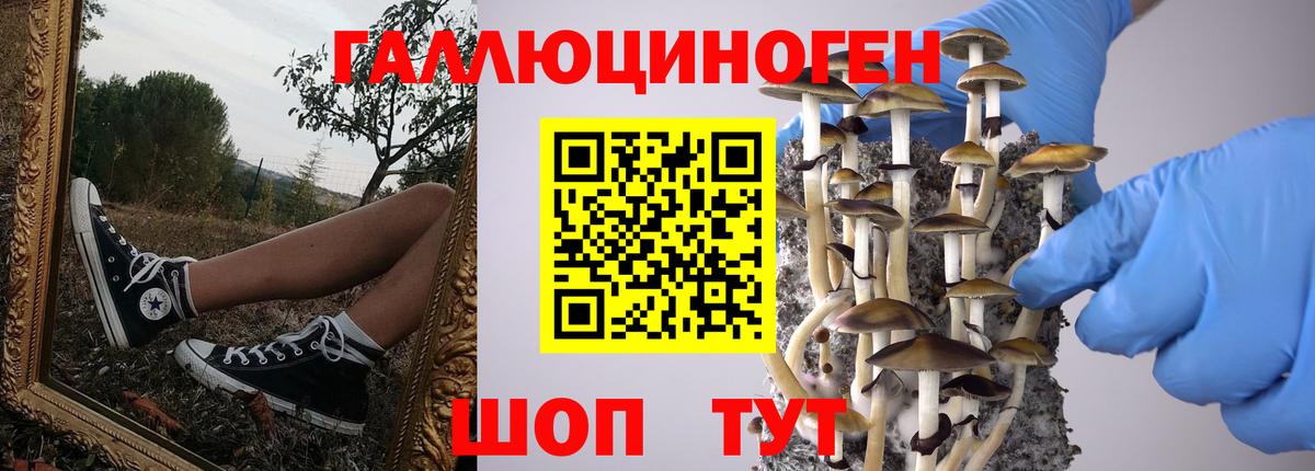 Псилоцибиновые грибы прущие грибы  Вход с VPN  Кумертау 