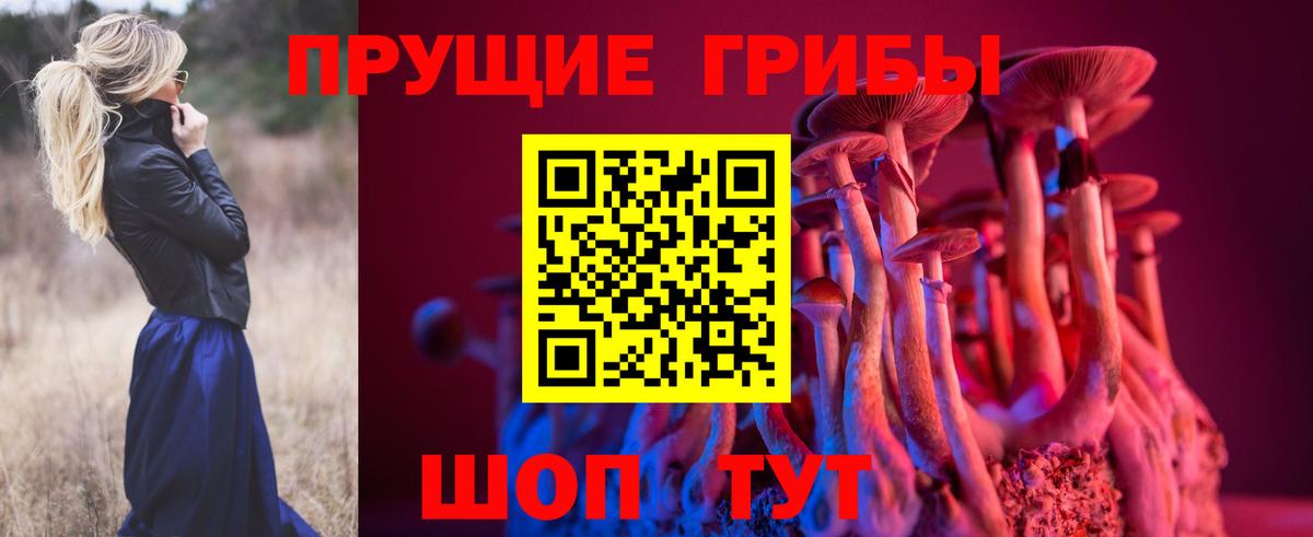 Галлюциногенные грибы прущие грибы  Кумертау 